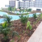 Landsscaping designs in Oman.