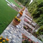 Landsscaping designs in Oman.