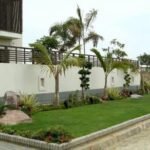 Landsscaping designs in Oman.