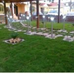 Landsscaping designs in Oman.