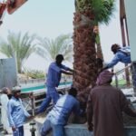 Landsscaping designs in Oman.