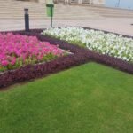 Landsscaping designs in Oman.