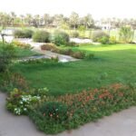 Landsscaping designs in Oman.